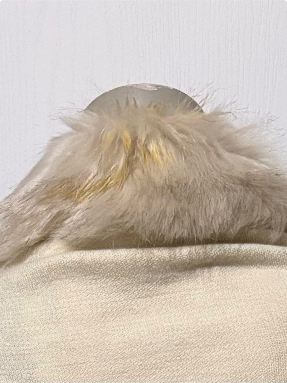 Faux Fur Trim Shawl Cape - Picture 11 of 11